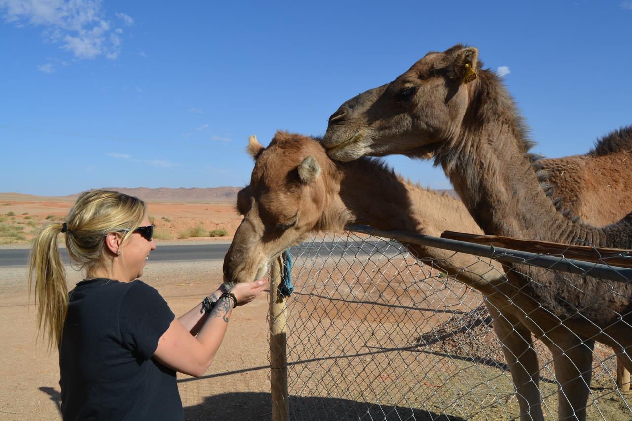 Kasbah Luna Del Sur Erfúd Kültér fotó